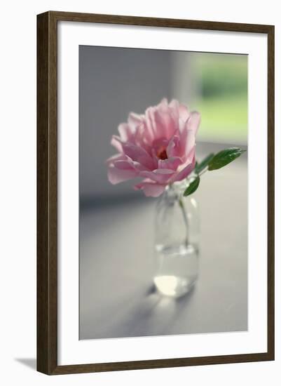 Evening Blooms-Sarah Gardner-Framed Photo