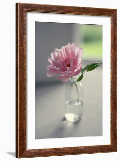 Evening Blooms-Sarah Gardner-Framed Photo