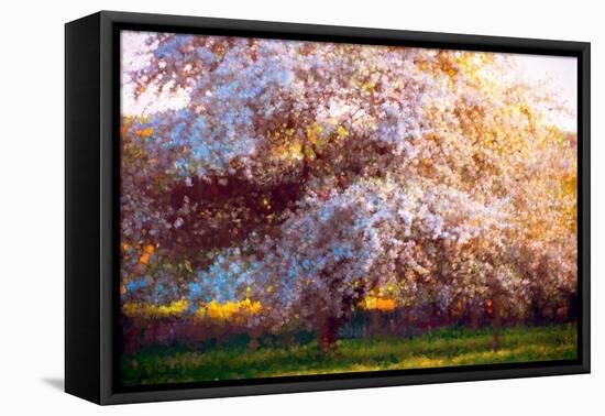 Evening Blossom, 2018,-Helen White-Framed Premier Image Canvas