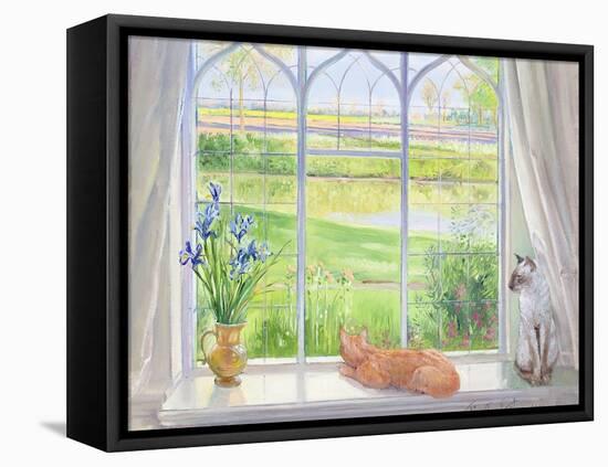 Evening Breeze-Timothy Easton-Framed Premier Image Canvas