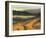 Evening Brilliance-Carl Stieger-Framed Limited Edition