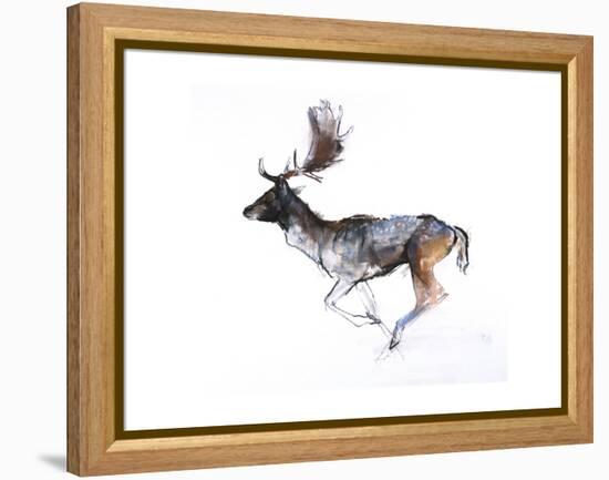 Evening Buck (Fallow Deer), 2007-Mark Adlington-Framed Premier Image Canvas