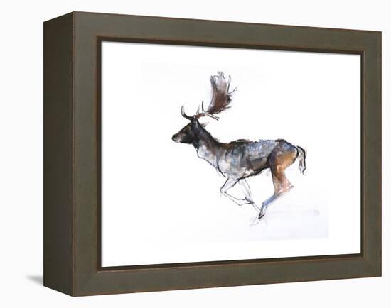 Evening Buck (Fallow Deer), 2007-Mark Adlington-Framed Premier Image Canvas