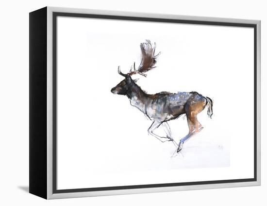 Evening Buck (Fallow Deer), 2007-Mark Adlington-Framed Premier Image Canvas