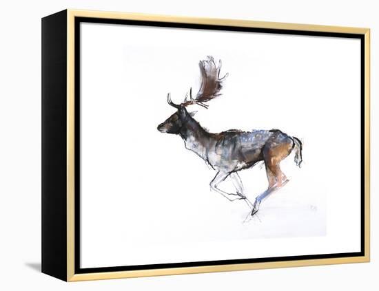 Evening Buck (Fallow Deer), 2007-Mark Adlington-Framed Premier Image Canvas