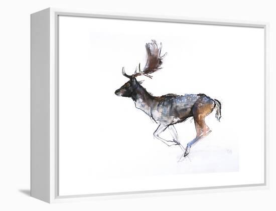 Evening Buck (Fallow Deer), 2007-Mark Adlington-Framed Premier Image Canvas