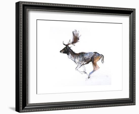 Evening Buck (Fallow Deer), 2007-Mark Adlington-Framed Giclee Print