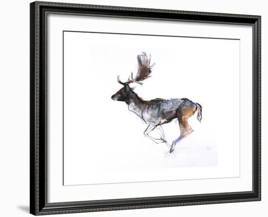 Evening Buck (Fallow Deer), 2007-Mark Adlington-Framed Giclee Print