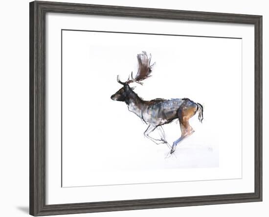 Evening Buck (Fallow Deer), 2007-Mark Adlington-Framed Giclee Print