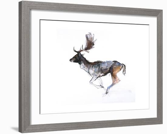 Evening Buck (Fallow Deer), 2007-Mark Adlington-Framed Giclee Print