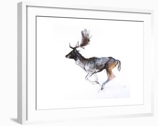 Evening Buck (Fallow Deer), 2007-Mark Adlington-Framed Giclee Print