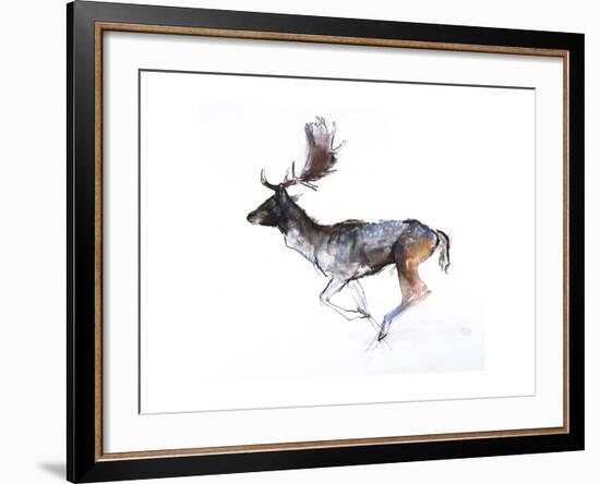 Evening Buck (Fallow Deer), 2007-Mark Adlington-Framed Giclee Print