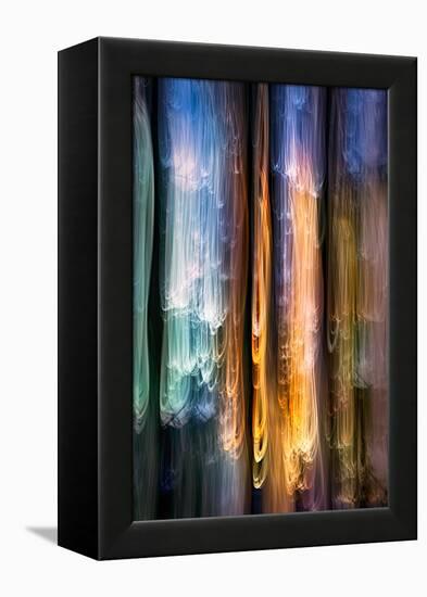 Evening Cedars-Ursula Abresch-Framed Premier Image Canvas