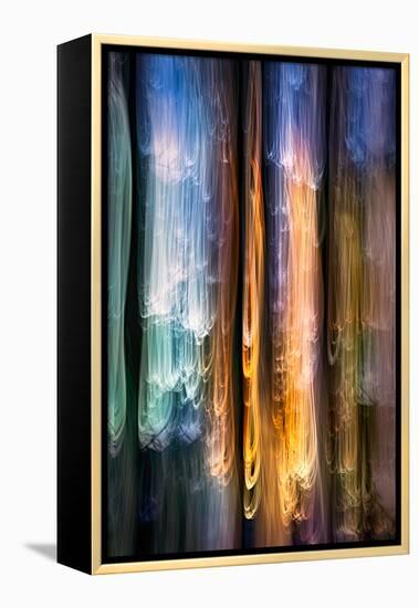 Evening Cedars-Ursula Abresch-Framed Premier Image Canvas