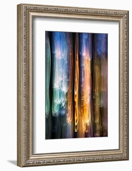 Evening Cedars-Ursula Abresch-Framed Photographic Print