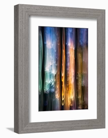 Evening Cedars-Ursula Abresch-Framed Photographic Print