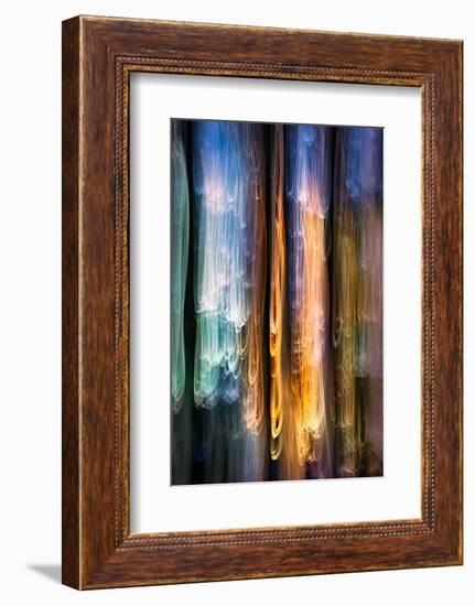 Evening Cedars-Ursula Abresch-Framed Photographic Print