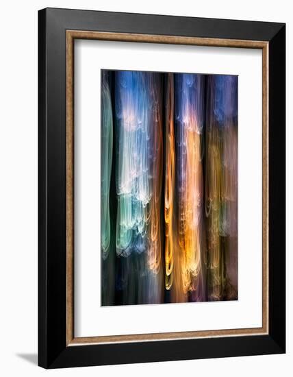 Evening Cedars-Ursula Abresch-Framed Photographic Print