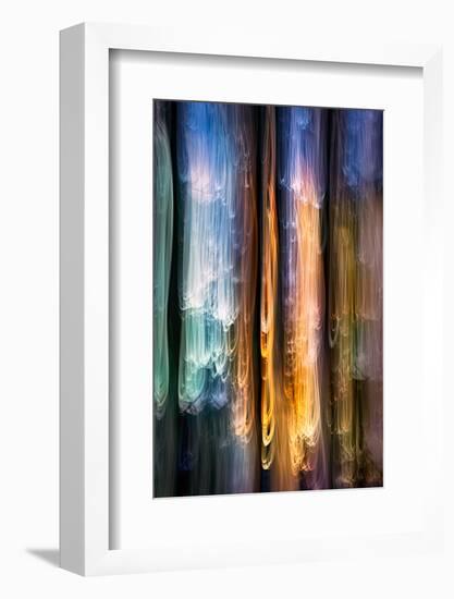 Evening Cedars-Ursula Abresch-Framed Photographic Print