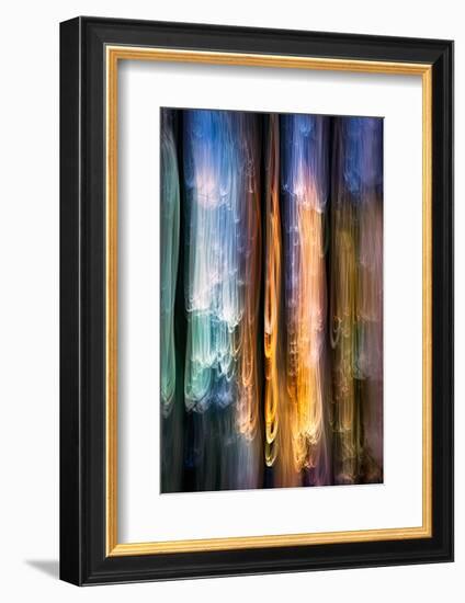 Evening Cedars-Ursula Abresch-Framed Photographic Print