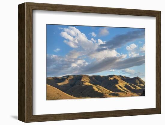 Evening clouds over Clarno Unit of John Day Fossil Beds National Monument, Oregon-Alan Majchrowicz-Framed Photographic Print