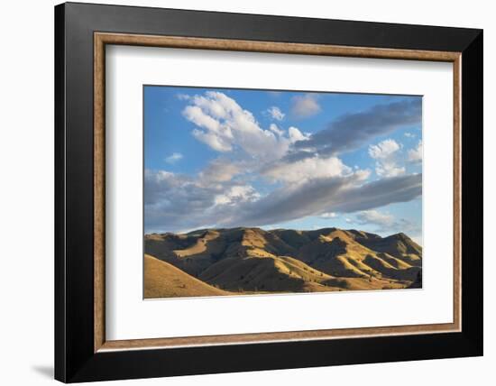 Evening clouds over Clarno Unit of John Day Fossil Beds National Monument, Oregon-Alan Majchrowicz-Framed Photographic Print