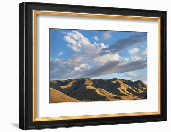 Evening clouds over Clarno Unit of John Day Fossil Beds National Monument, Oregon-Alan Majchrowicz-Framed Photographic Print