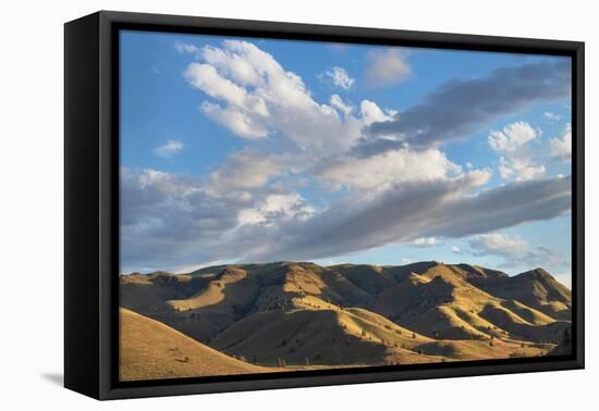 Evening clouds over Clarno Unit of John Day Fossil Beds National Monument, Oregon-Alan Majchrowicz-Framed Premier Image Canvas