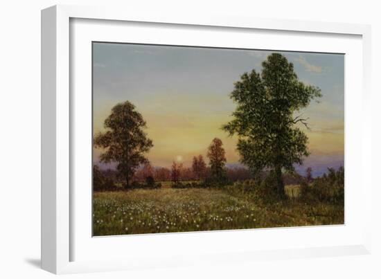 Evening Daisies-Bill Makinson-Framed Giclee Print