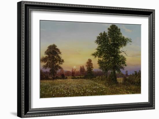 Evening Daisies-Bill Makinson-Framed Giclee Print