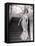 Evening Dress Designed by a California Designer-Gordon Parks-Framed Premier Image Canvas