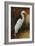 Evening Egret-Kilian-Framed Art Print