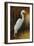 Evening Egret-Kilian-Framed Art Print