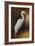 Evening Egret-Kilian-Framed Art Print