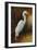 Evening Egret-Kilian-Framed Art Print