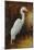 Evening Egret-Kilian-Mounted Art Print