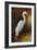 Evening Egret-Kilian-Framed Art Print