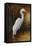 Evening Egret-Kilian-Framed Stretched Canvas