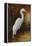 Evening Egret-Kilian-Framed Stretched Canvas