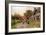 Evening, Elmley Castle, Worcester-Alfred Robert Quinton-Framed Giclee Print