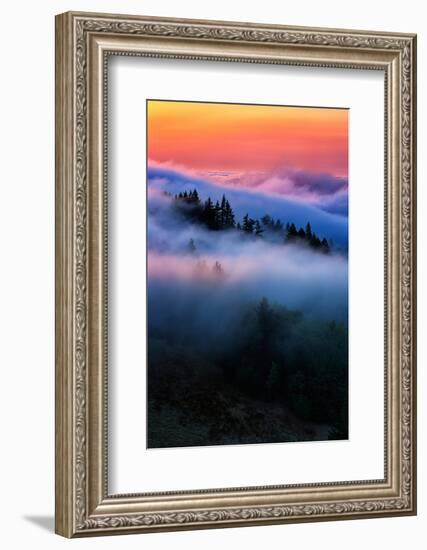 Evening Falls in the Hills of Mount Tam, Northern California Fog-Vincent James-Framed Photographic Print