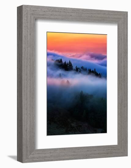 Evening Falls in the Hills of Mount Tam, Northern California Fog-Vincent James-Framed Photographic Print