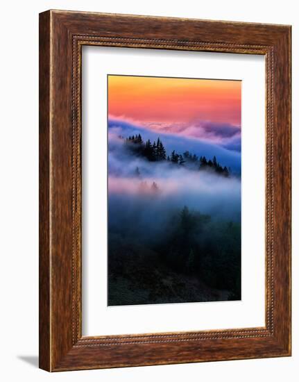 Evening Falls in the Hills of Mount Tam, Northern California Fog-Vincent James-Framed Photographic Print