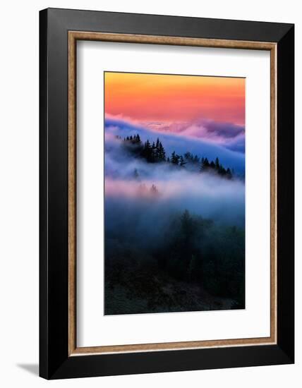 Evening Falls in the Hills of Mount Tam, Northern California Fog-Vincent James-Framed Photographic Print