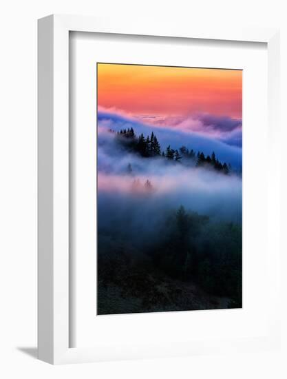 Evening Falls in the Hills of Mount Tam, Northern California Fog-Vincent James-Framed Photographic Print