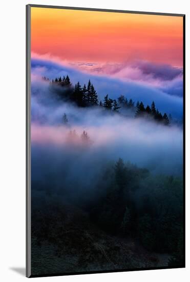 Evening Falls in the Hills of Mount Tam, Northern California Fog-Vincent James-Mounted Photographic Print