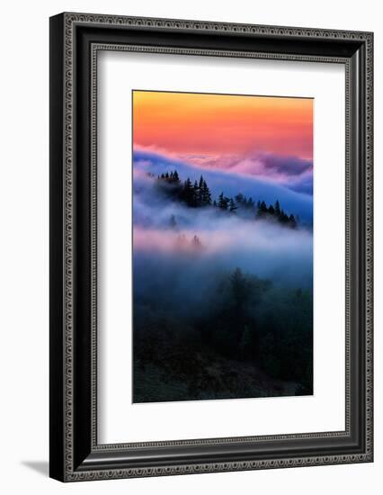 Evening Falls in the Hills of Mount Tam, Northern California Fog-Vincent James-Framed Photographic Print