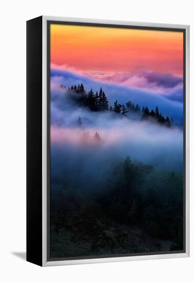 Evening Falls in the Hills of Mount Tam, Northern California Fog-Vincent James-Framed Premier Image Canvas