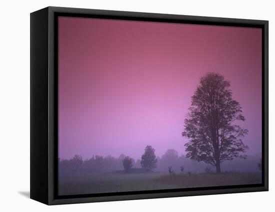 Evening Fields-PhotoINC-Framed Premier Image Canvas