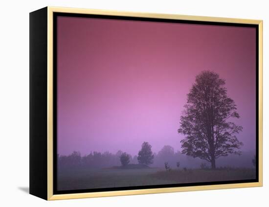 Evening Fields-PhotoINC-Framed Premier Image Canvas